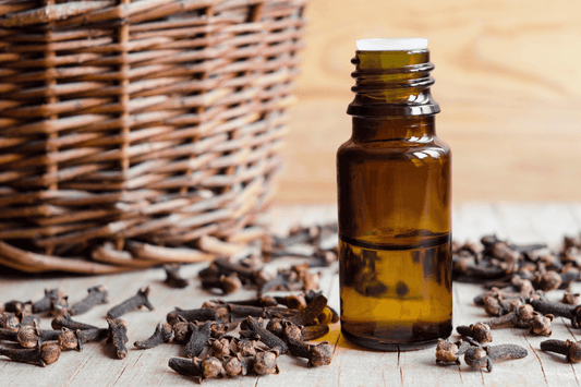 Derma Organics Blog Top clove benefits for hair and skin